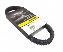 ������ ��������� Can-Am