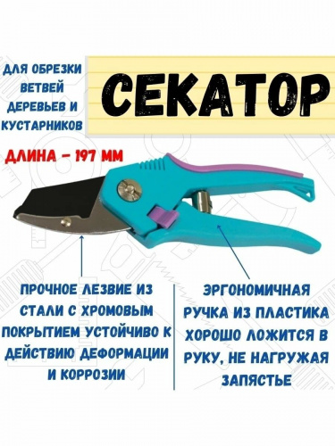 ������� ������� ��������� � ������������ �������, ������, ���������������� ��������. ��������, 197��