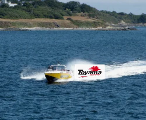 �������� ����� Toyama F9.9BMS ���� 4