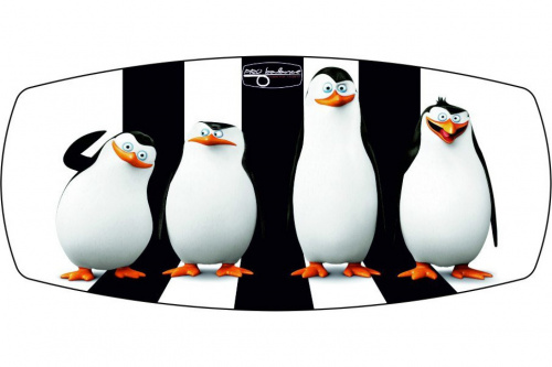 ������ ���� "Pro Balance" PENGUINS ���� 3