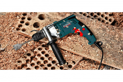 ����� ������� ALTECO DP 800-13.1 ���� 2