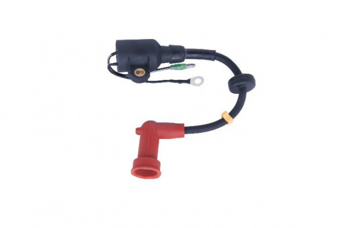 Катушка зажигания ПЛМ Parsun T15 Катушка зажигания ПЛМ Parsun T15
