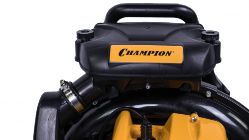 ������������ ���������� �������� CHAMPION GBR376 ���� 4