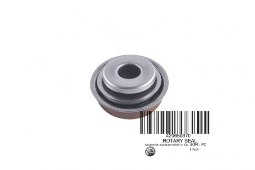 ������� ����� ���� 2