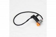 ������ ��������