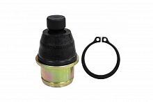 ������� ����� ������ Can-Am G2