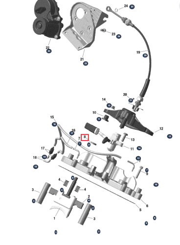   RAVE  BRP 09-719117  2
